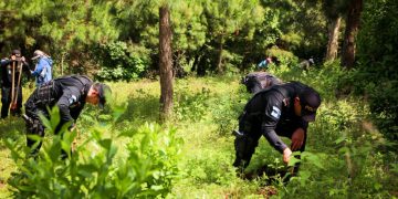 PNC participa en jornadas de reforestación./foto: PNC.