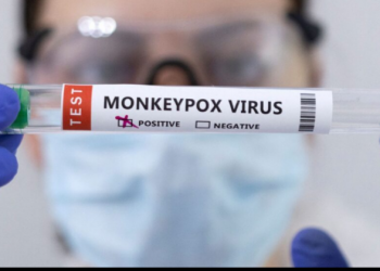 Un estudio identifica nuevos síntomas clínicos de la viruela el mono