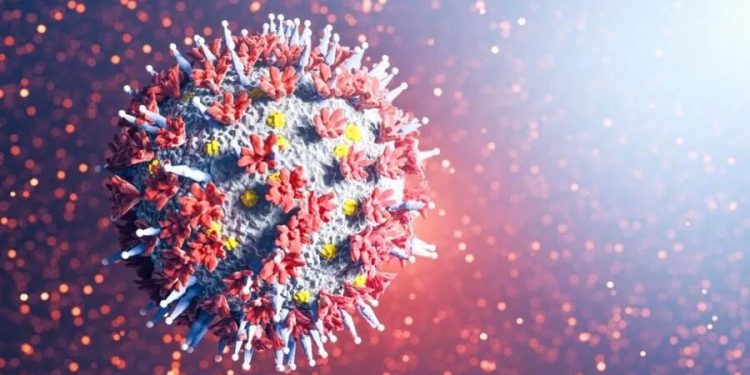 Perú registra primer caso de sublinaje centauro de SARS-CoV-2