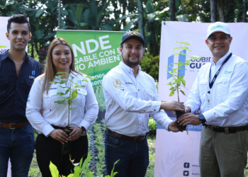 Mingob hace donación de arbolitos