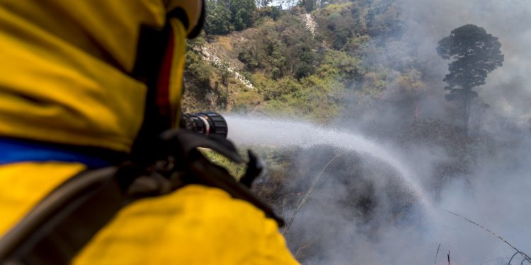 Incendios afectaron 21 mil 876.52 hectáreas del país
