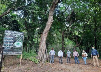 Incentivos forestales, sinónimo de desarrollo comunitario en Huehuetenango