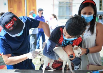 Jornada de vacunación contra la rabia