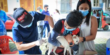 Jornada de vacunación contra la rabia
