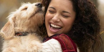 Los perros “lloran” de alegría al reunirse con sus propietarios