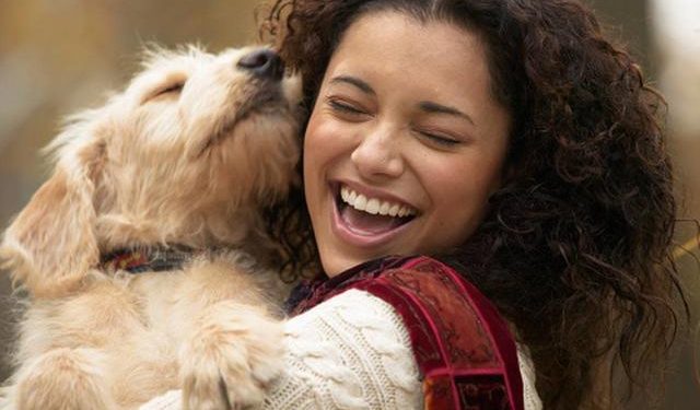 Los perros “lloran” de alegría al reunirse con sus propietarios