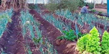 MAGA entrega insumos a beneficiarios de huertos comunales en Chimaltenango