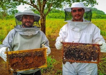 Continúa apoyo al desarrollo apícola en Petén