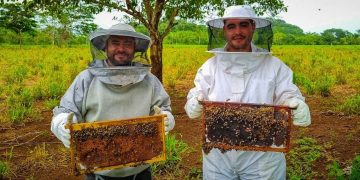Continúa apoyo al desarrollo apícola en Petén