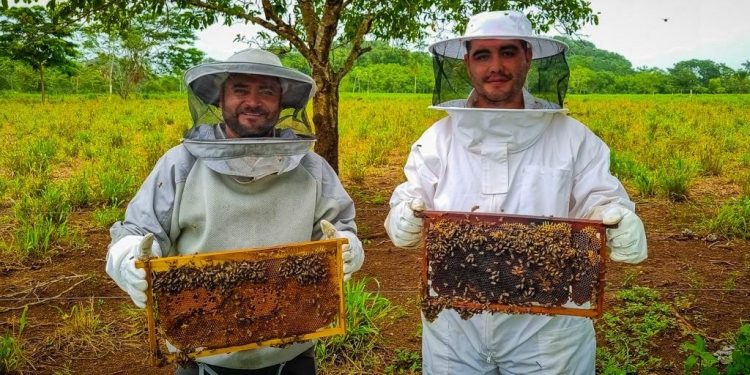 Continúa apoyo al desarrollo apícola en Petén