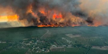 Incendios arrasan miles de hectáreas en Francia