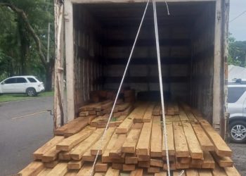 Suman 49 detenidos por tala ilegal y transporte de producto forestal
