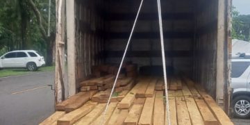 Suman 49 detenidos por tala ilegal y transporte de producto forestal