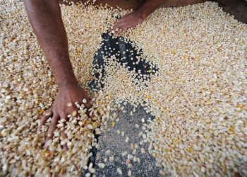 Más de 40 contingentes de importación de productos con cero aranceles se han autorizado a la fecha