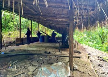 El supuesto narcolaboratorio esta ubicado en Alta Verapaz.