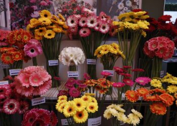 Guatemala promocionará productos agrícolas y florales en el extranjero