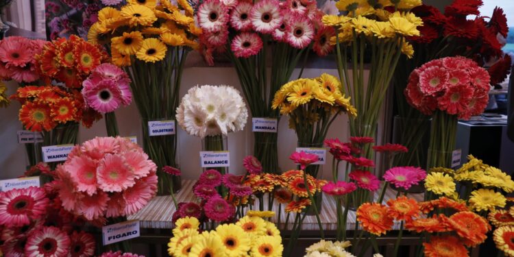 Guatemala promocionará productos agrícolas y florales en el extranjero