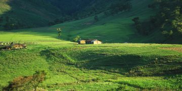 Guatemala conmemora el Día de la Fotografía