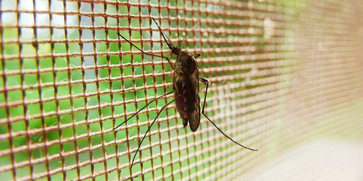 Salud capacita a personal para eliminar focos activos de malaria en Retalhuleu