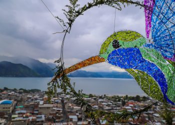 Realizan primer Festival del Colibrí en Sololá