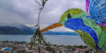 Realizan primer Festival del Colibrí en Sololá