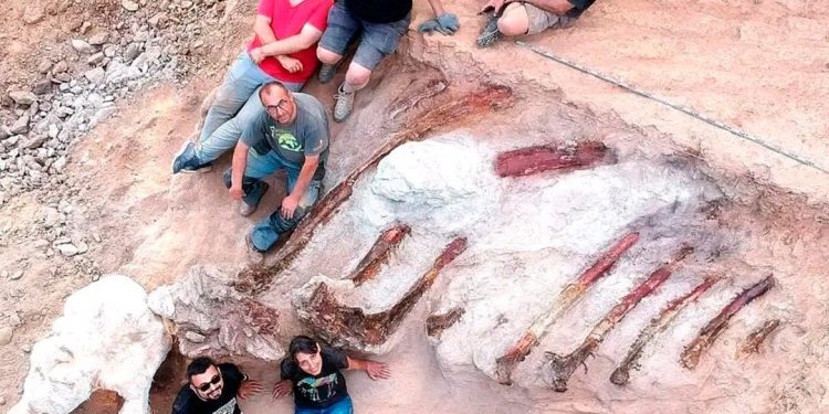 Hallan en Portugal esqueleto del que podría ser el mayor dinosaurio de Europa