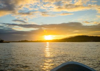 Resaltan la importancia de los parques nacionales