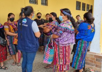 Más de 7 mil 300 beneficiados con apoyo económico para recuperar suelos