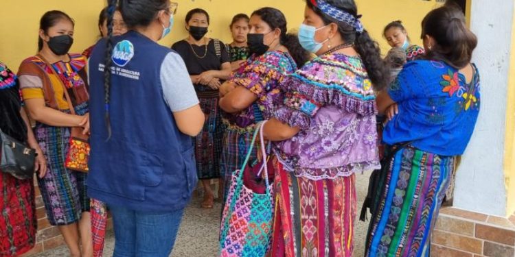 Más de 7 mil 300 beneficiados con apoyo económico para recuperar suelos