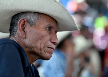 Beneficiarios de Izabal y Zacapa agradecen inclusión a PAM