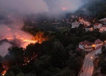 Fuego calcinó el 25 % de la mayor área protegida de Portugal