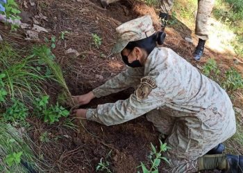 Reservistas militares apoyan reforestación en Totonicapán