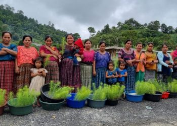 Sembrando Huella continúa con repoblación de bosques en Alta Verapaz