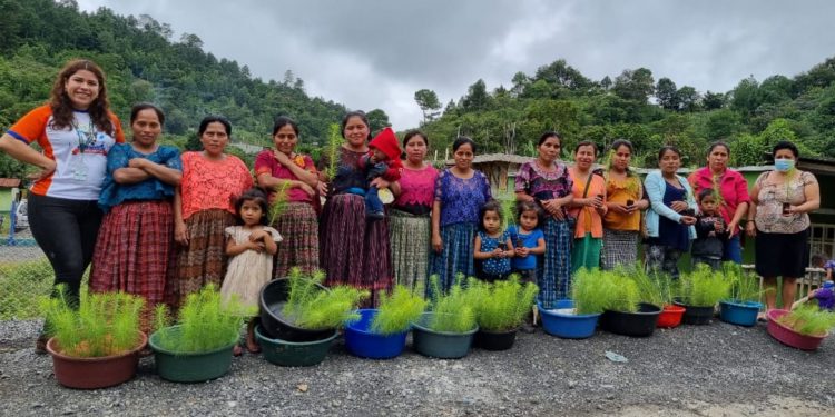 Sembrando Huella continúa con repoblación de bosques en Alta Verapaz
