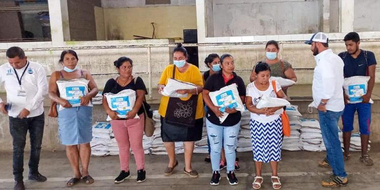Huertos familiares y escolares fortalecen nutrición en Santa Rosa