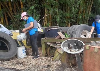 Jornada de deschatarrización contribuye a prevenir enfermedades vectoriales