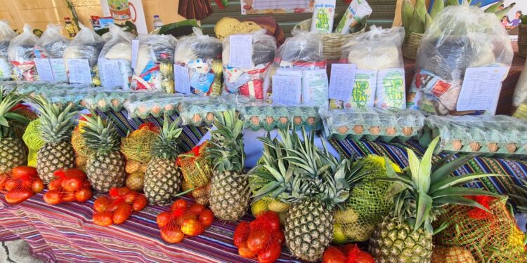 Mineduc invierte más de 57 millones de quetzales en alimentación escolar para Jalapa