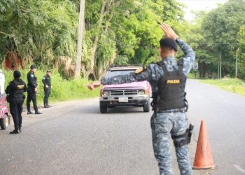Reportan más de 500 capturas por delitos contra la flora y fauna