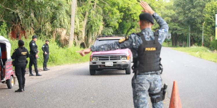 Reportan más de 500 capturas por delitos contra la flora y fauna