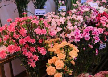 Continuan los preparativos para el 1er Congreso de plantas ornamentales, follajes y flores