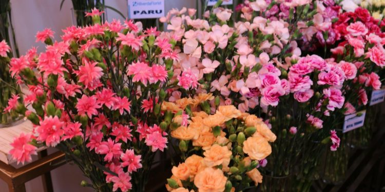 Continuan los preparativos para el 1er Congreso de plantas ornamentales, follajes y flores