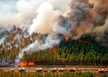 Francia registra emisiones de dióxido de carbono récord procedentes de incendios forestales
