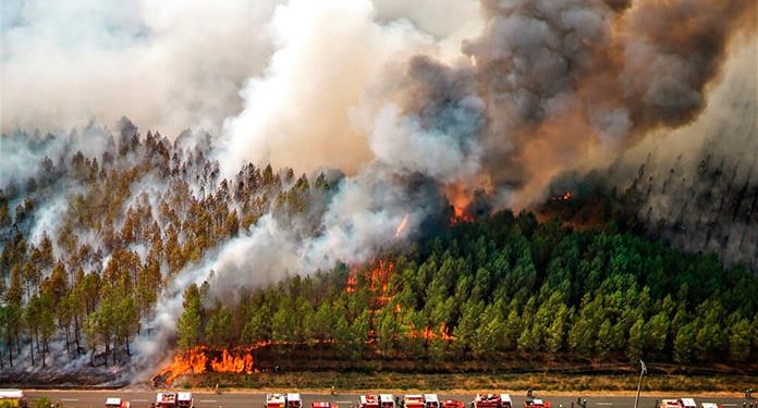 Francia registra emisiones de dióxido de carbono récord procedentes de incendios forestales