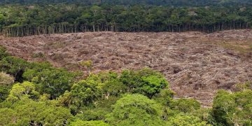 Deforestación en Brasil se aceleró en últimas cuatro décadas, según estudio
