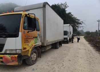 Localizan camiones que transportaban cigarrillos de contrabando