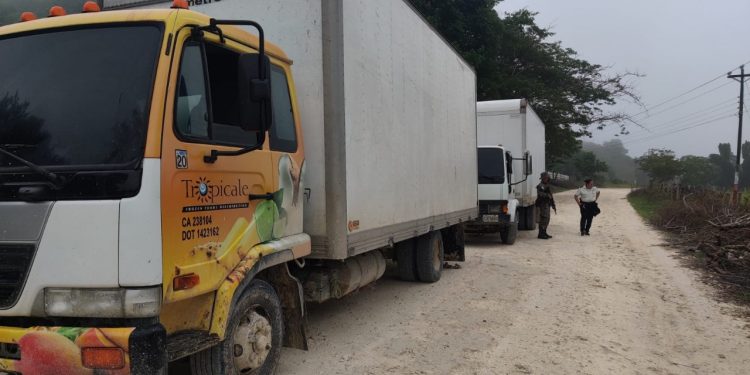 Localizan camiones que transportaban cigarrillos de contrabando