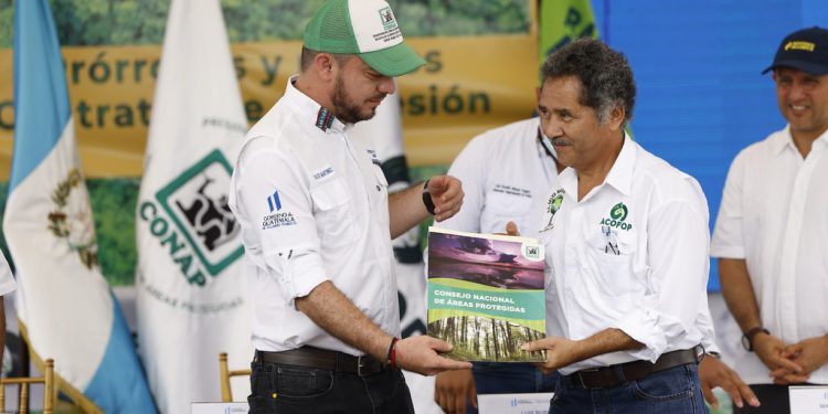 Impulsan modelo de manejo forestal sostenible en la Reserva de la Biosfera Maya, en Petén