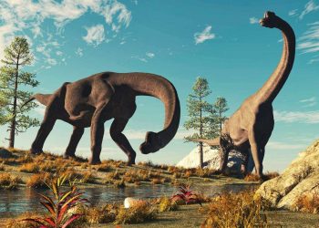 Identifican el “dinosaurio de la paz”, que vivió en el norte de Colombia