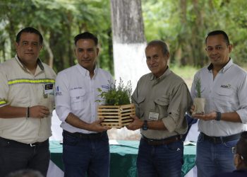 donativo, reforestación.