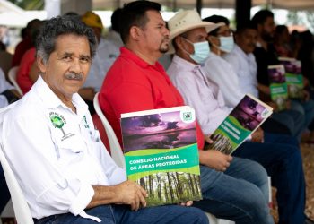 incentivos forestales